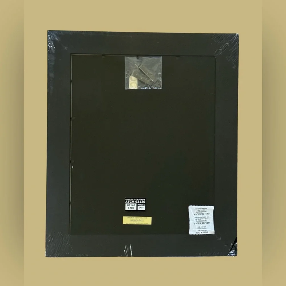 Aria Frame by Aaron Brothers - Golden Leaf Black (11” x 14”)